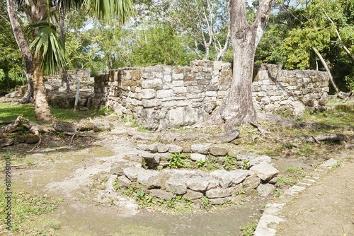 The obscure Mayan ruins of San Gervasio, located on the Mexican island of Cozumel photo