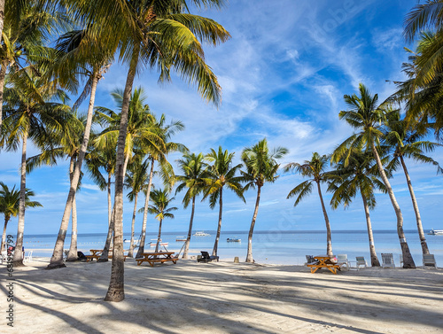 Sandy shores, coconut rows, paradise unfolds. At Bohol Beach Club in Dumaluan Beach, Panglao Island, Bohol, Philippines.