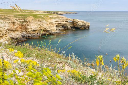 Cape Tarkhankut on the Crimean peninsula. The rocky coast of the Dzhangul Reserve in the Crimea. The Black Sea. Turquoise sea water. Rocks and grottoes of Cape Tarkhankut. photo