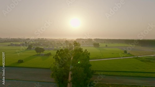 Aerial view of Indian village with central road and trees and fields on either sides. 