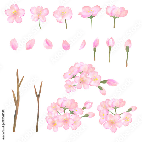 水彩で描いた桜のイラストセット