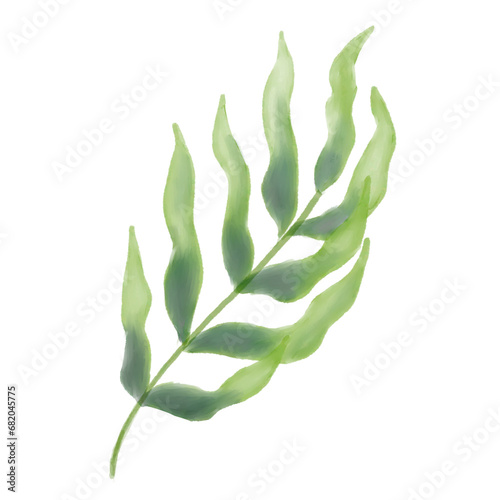 Tropical Leaf Illustration