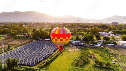 A hot air balloon lands near a Lavender field