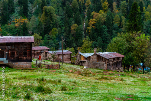 A wooden plateau house integrated with the forest that turns yellow with the autumn season. Plateau houses are made of stone and wood. Old stone houses. Rize, Turkey.