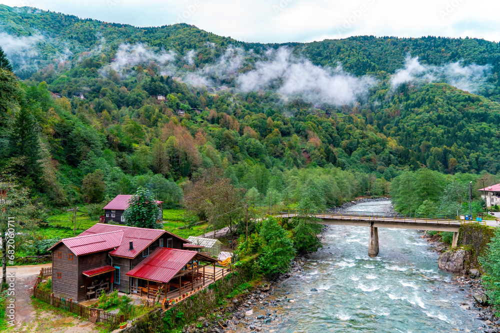 The famous Şenyuva (cinciva) stone bridge in Fırtına Valley on a cloudy day. Rize, Tutkey.