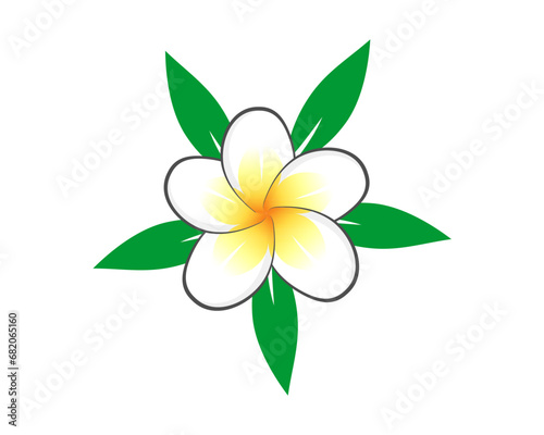 frangipani flower icon