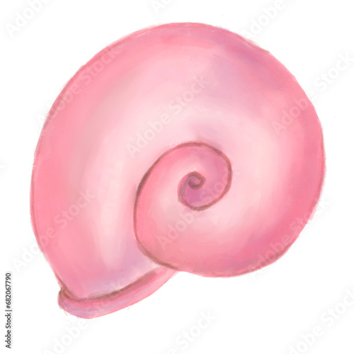 Shark Eye Snail Illustration photo