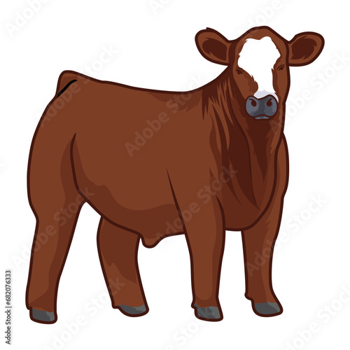 brown cattle livestock vector stock