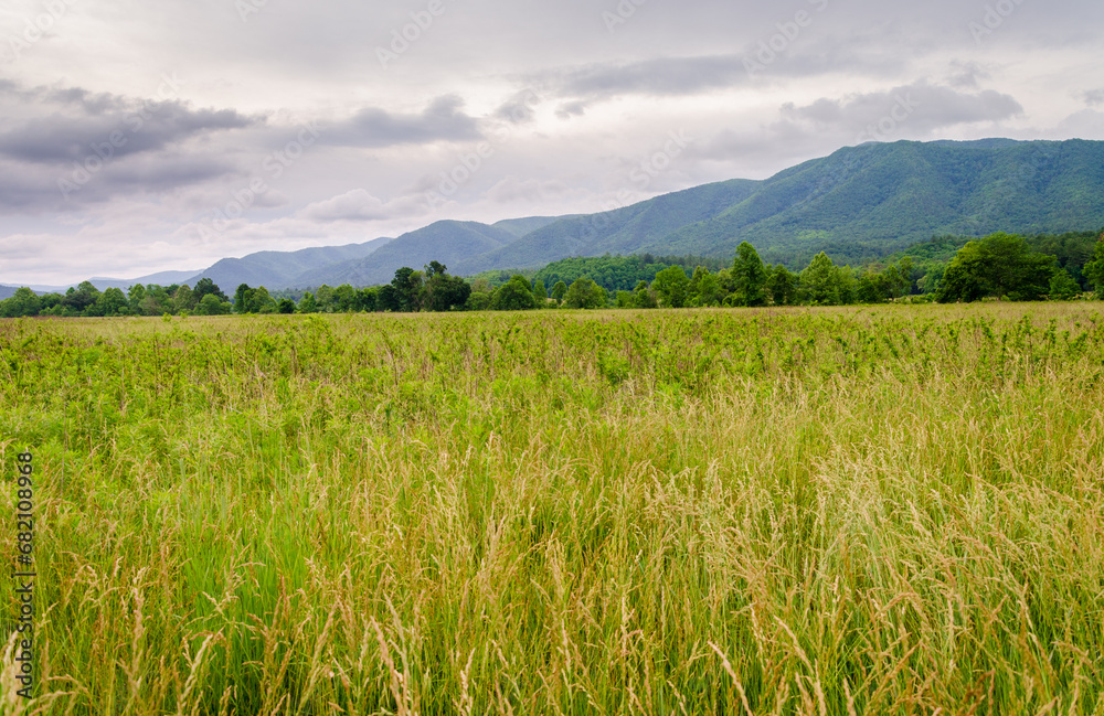 The Smoky Mountains Cades Cove Loop Gatlinburg, TN