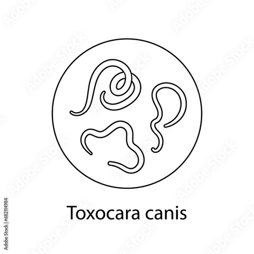 Parasites, worms, helminths in humans, cats, dogs. Hand drawing.