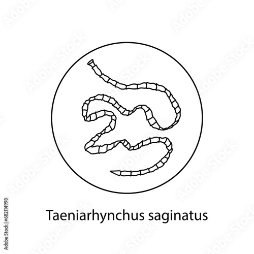 Parasites, worms, helminths in humans, cats, dogs. Hand drawing.