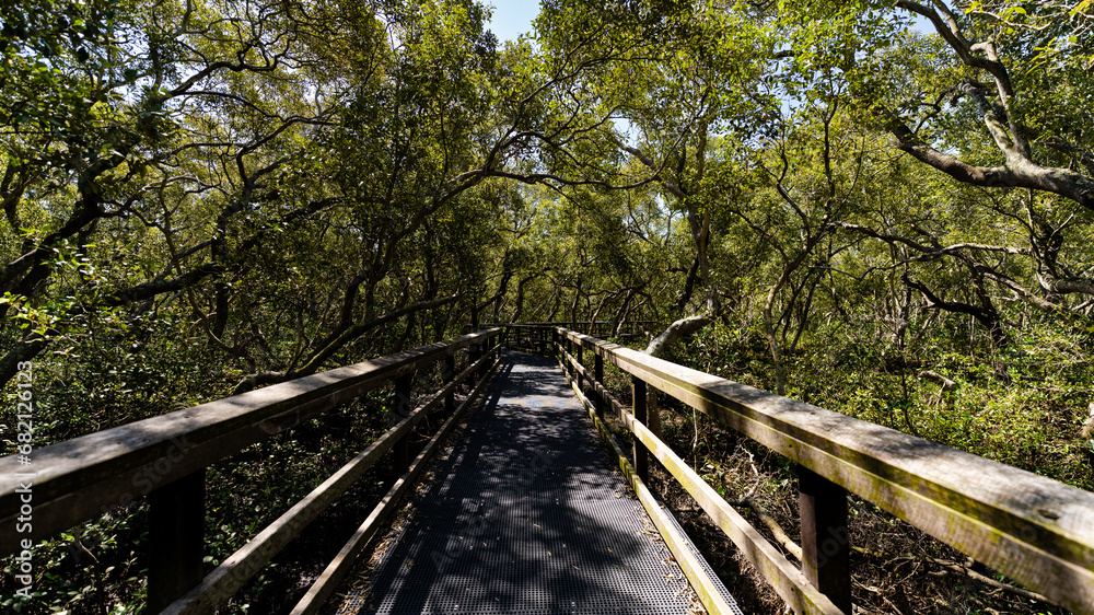 Wynnum Mangrove Boardwalk in Brisbane, Queensland Wynnum Mangrove Boardwalk in Brisbane, Queensland