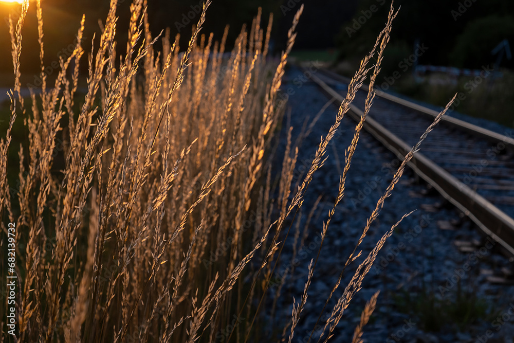 Obraz premium photo of the railway included the setting sun. the grass near the railway is painted golden from the sun's rays