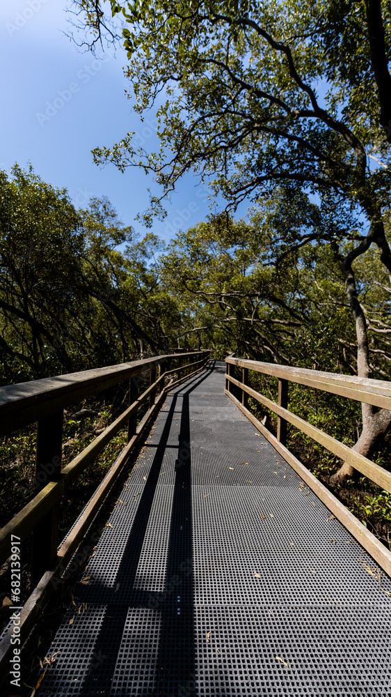 Wynnum Mangrove Boardwalk in Brisbane, Queensland