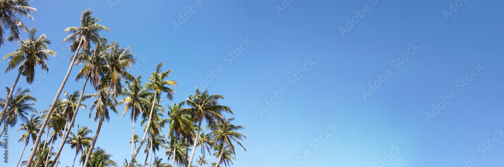 Banner. Palm trees against a clear blue sky. Sunny day. Holidays. Rest