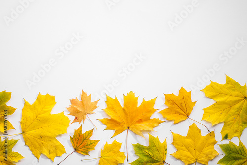 Beautiful autumn leaves on white background  top view. Space for text