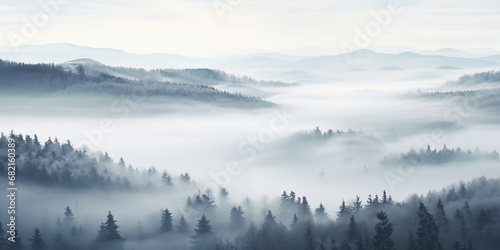 hilly landscape with misty coniferous forest, aerial view