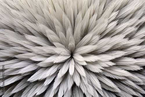 surface of a fluffy feather duster