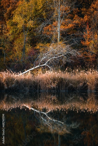 Scenic view of autumn trees reflecting in the water at the Lac de Montorge, Sion, Switzerland photo