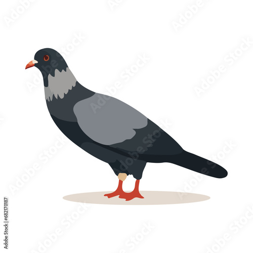 Cartoon pigeon isolated on white background. Cartoon style. Vector illustration.