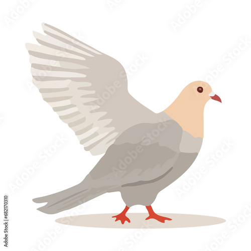 Cartoon pigeon isolated on white background. Cartoon style. Vector illustration.