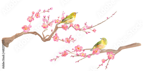 Tableau sur toile 早春の花：梅の花とメジロの水彩イラスト。紅梅と小鳥。日本文化。