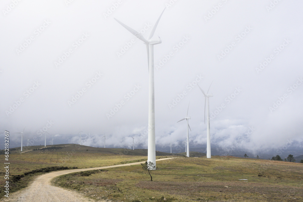 Fototapeta premium Solitary tree in wind farm - Isolated in the wind farm of Galicia, a solitary tree becomes a focal point, shot with the Sony RX100.