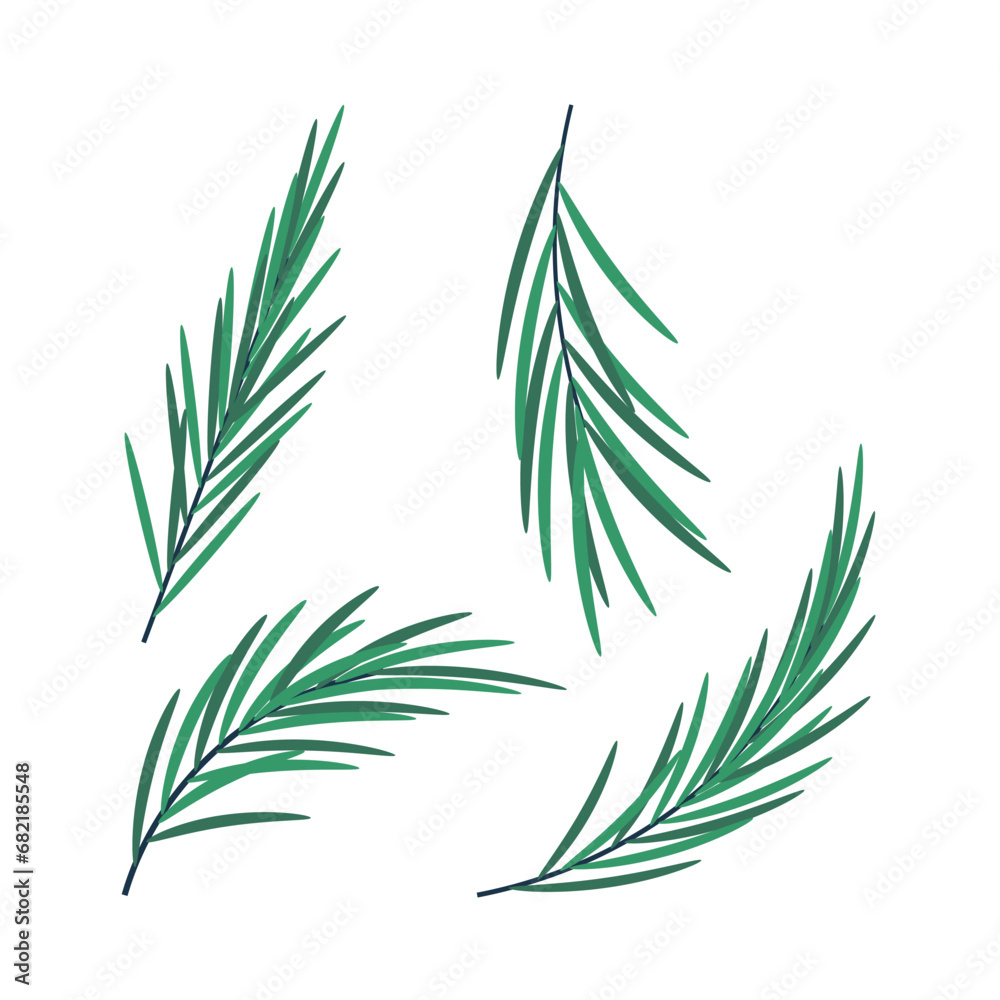 Naklejka premium Set of Christmas tree branch. Winter holiday elements.