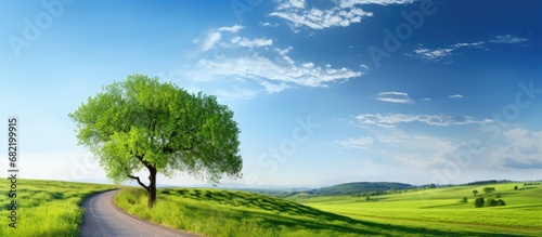 background of a clear summer sky, the travel enthusiast found solace breathtaking nature, as a vibrant tree adorned the picturesque landscape along the winding green road, creating a truly beautiful