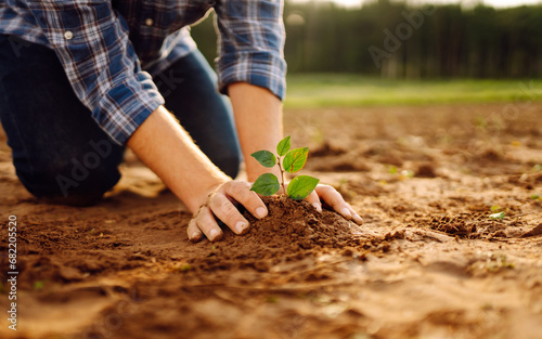 The hands of an experienced farmer plants and cares for a new sprout in the field. A young agronomist checks a seedling in the ground. Gardening concept, ecology.