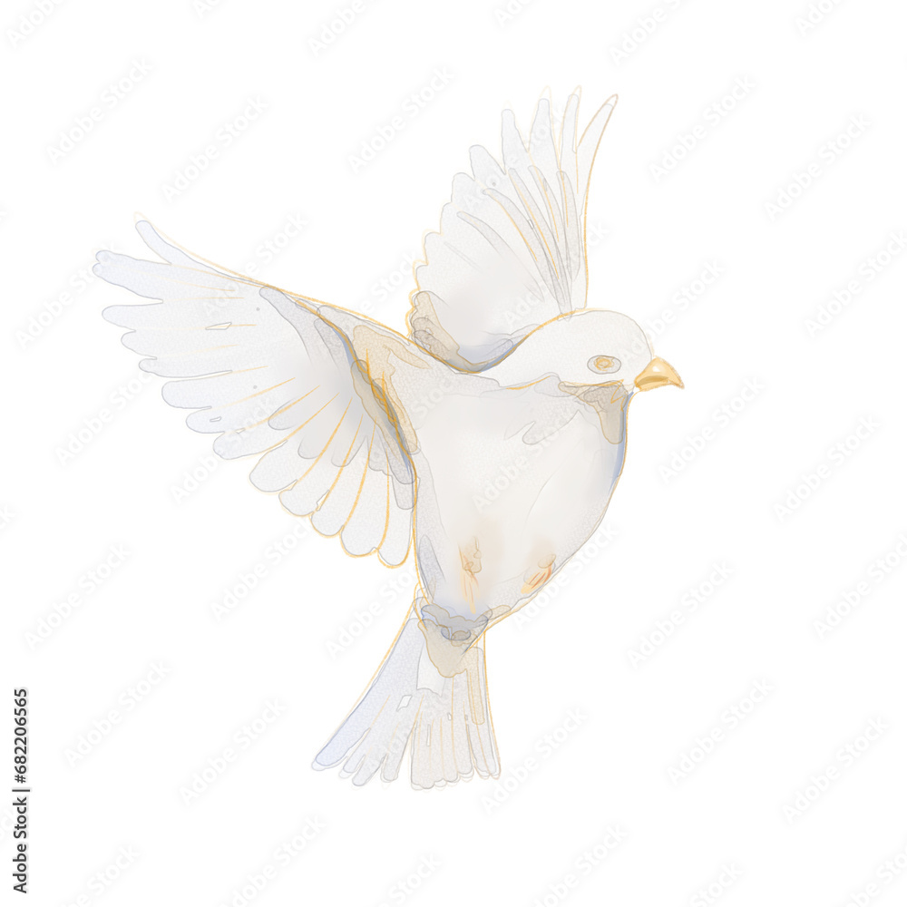 Obraz premium white dove isolated watercolor illustration