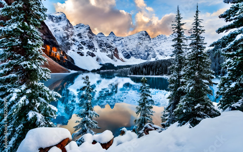 Enchanting Winter Majesty, A Snowy Pine Wonderland photo