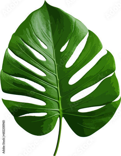 Green jungle leaf clip art