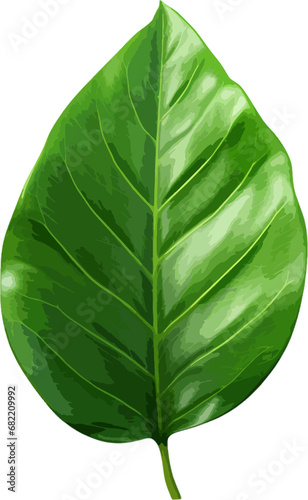 Green leaf clip art