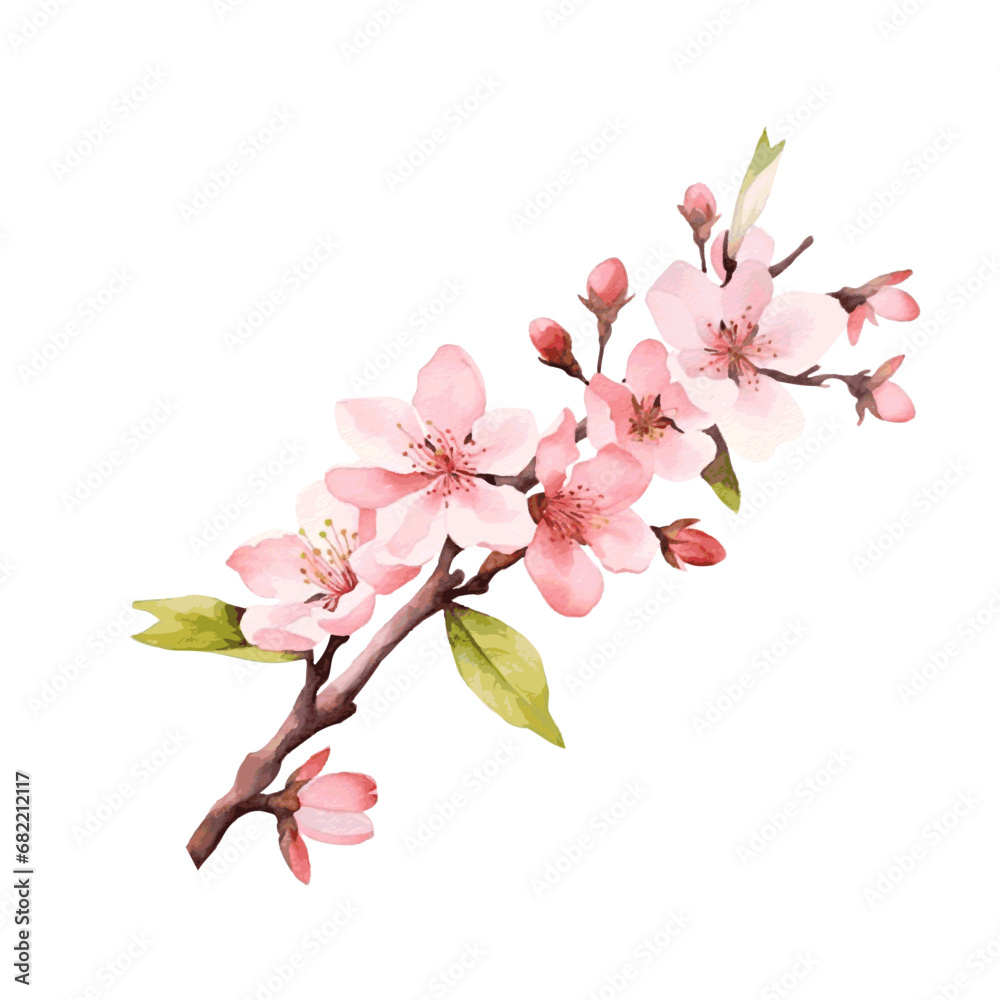 spring cherry blossom branch with flowers and leaves watercolor paint