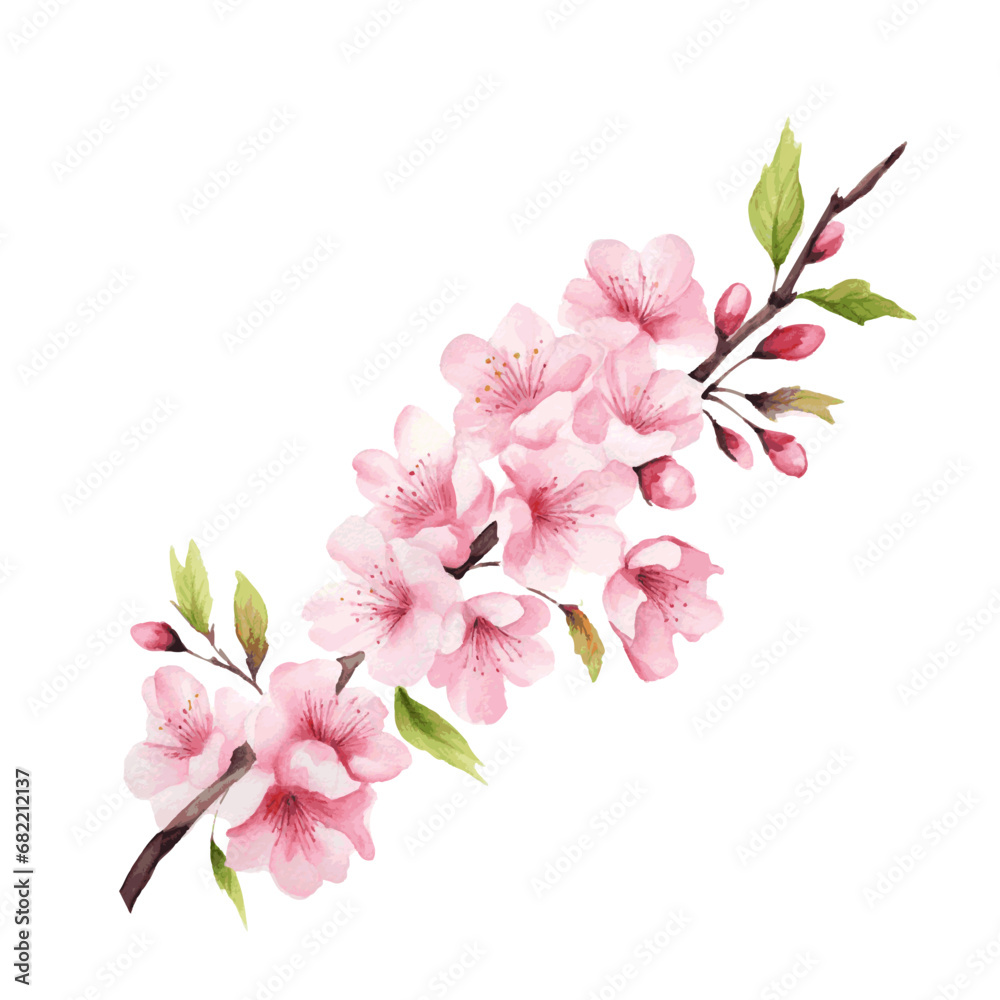 spring cherry blossom branch with flowers and leaves watercolor paint