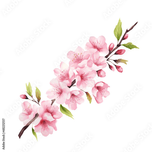 spring cherry blossom branch with flowers and leaves watercolor paint © Oleksiy