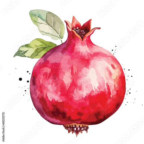 Watercolor red pomegranate with leaves isolated on white, red fruits, Vector pomegranate illustration isolated. vector fruits 