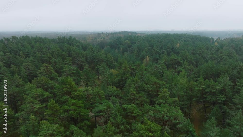 Establishing aerial view of the autumn forest, yellow leaves on trees, idyllic nature scene of leaf fall, autumn morning, wide drone shot moving forward Establishing aerial view of the autumn forest, yellow leaves on trees, idyllic nature scene of leaf fall, autumn morning, wide drone shot moving forward