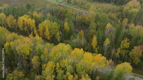 Establishing aerial view of the autumn forest, yellow leaves on trees, idyllic nature scene of leaf fall, autumn morning, wide birdseye drone shot moving forward, tilt down photo