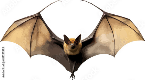 Bat clip art