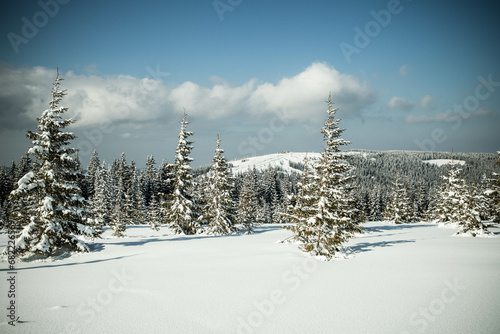 beautiful winter landscape with snowy fir trees