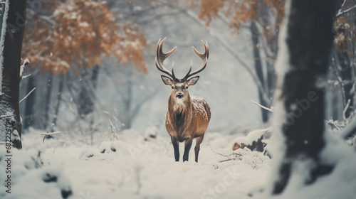 a deer in snowy landscape 8K created with Generative Ai