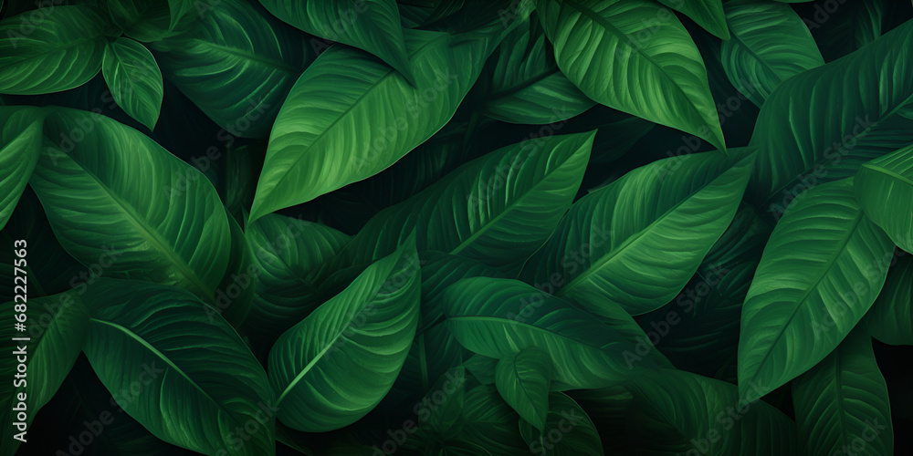 green leaves background