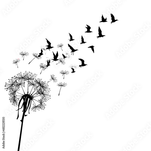 Dandelion with seeds transforming in flying birds. Freedom concept