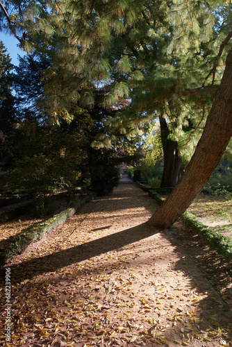 Droga, Natura, drzewa, zieleń, jesień, drewno, krajobraz, Sprężyny, park, Feuille, drewno, ślad, udać się, kraj, wiejski, Gras, odchodzi