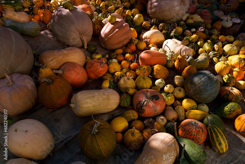 Dynia, jedzenie, charakter, plaza, morski, tekstura, kamienie, deseń, naturalny, braun, owoc, bliska, swiezy, barwa, zdrowa, warzywo, ogród, rolnictwo, 