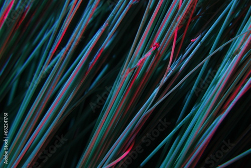 Cerdas plásticas de un cepillo utilizado como herramienta de higiene, con luz rojo y azul forma un original diseño abstracto de líneas coloridas con fondo negro photo