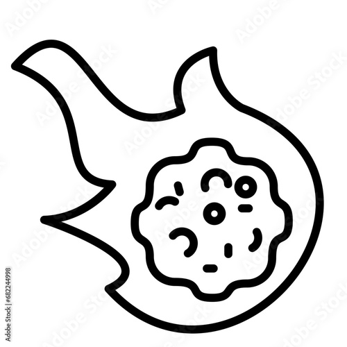 Meteorite Icon