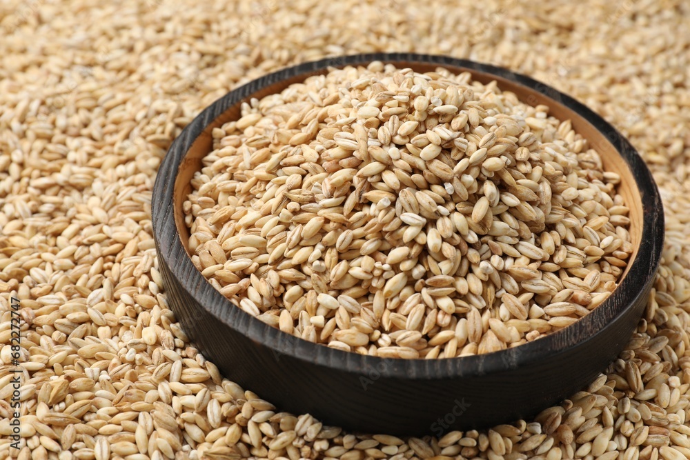 Pearl barley in bowl on dry grains, closeup Pearl barley in bowl on dry grains, closeup